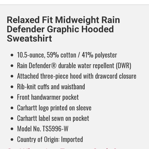 Carhartt Relaxed Fit Midweight Rain Defender Graphic Hooded Sweatshirt - Picture 5 of 7